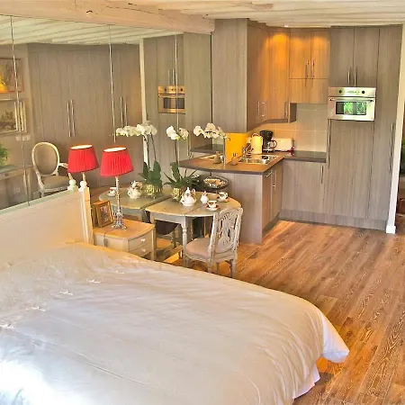 A Duplex In The Sky 公寓 巴黎